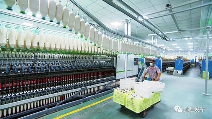 沛县电商“弯道超车” 大屯镇如何蝶变为“强屯”？