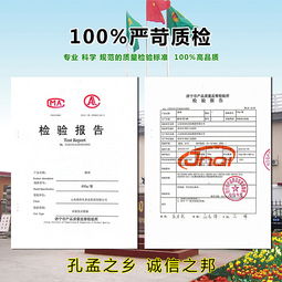 数字浪潮下的产品新生——公司某产品互联网宣传与销售策略解析